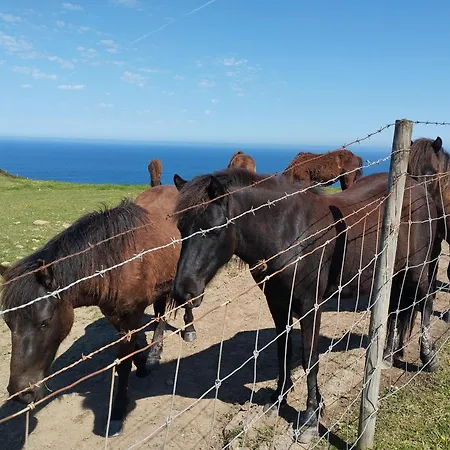 公寓 Etxalo, Con Terraza En *