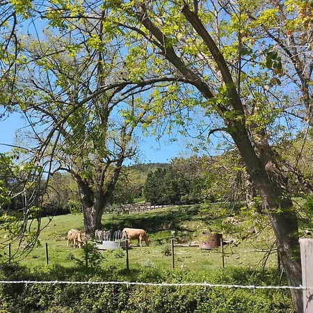Etxalo, Con Terraza En 公寓