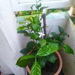 Etxalo, Con Terraza En Apartment *
