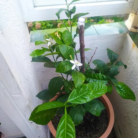 Etxalo, Con Terraza En Апартаменты *