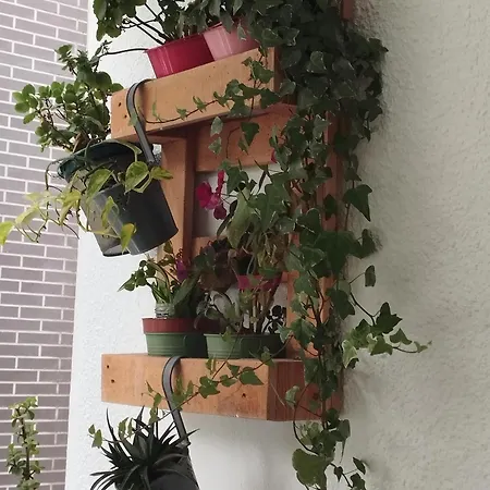 Etxalo, Con Terraza En *