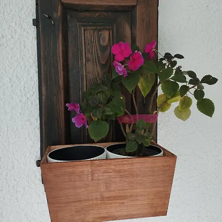 Apartamento Etxalo, Con Terraza En *